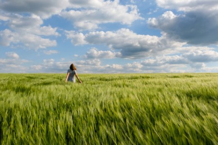 Rear view of woman standing alone in wheat field