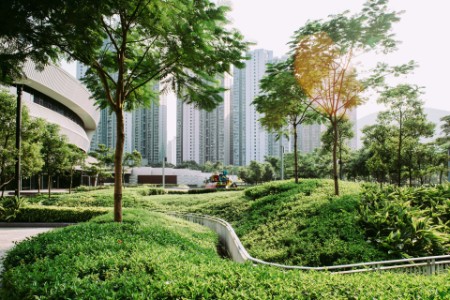 Árboles que crecen en el parque junto a los edificios de la ciudad