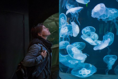 Una mujer admirando medusas en un tanque de agua