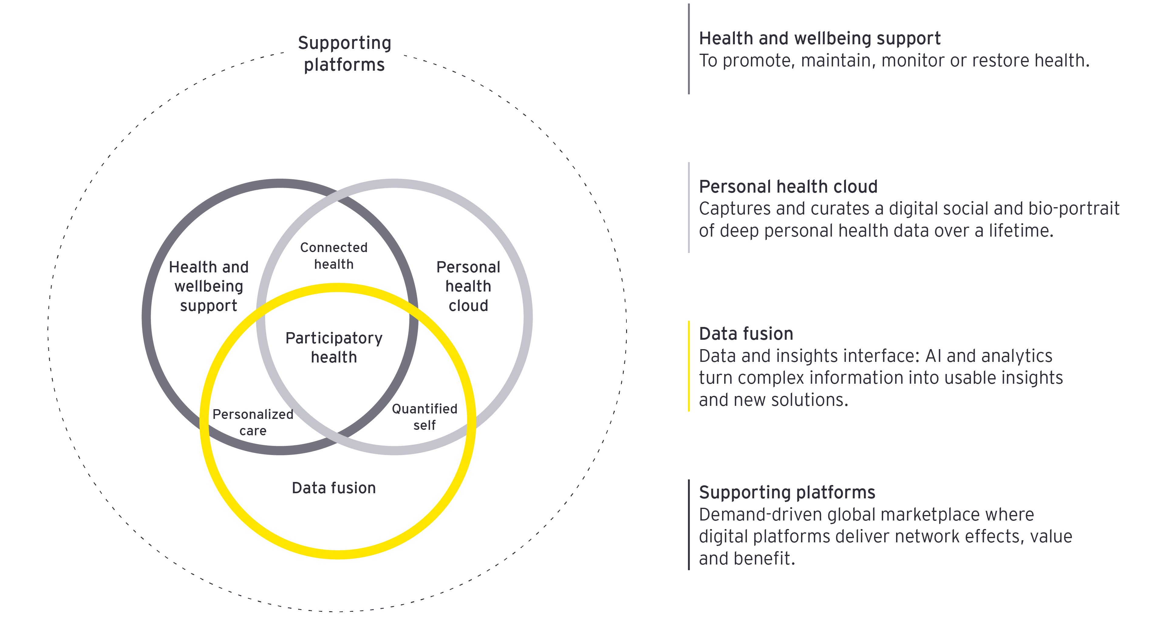 Participatory health paradigm infographic
