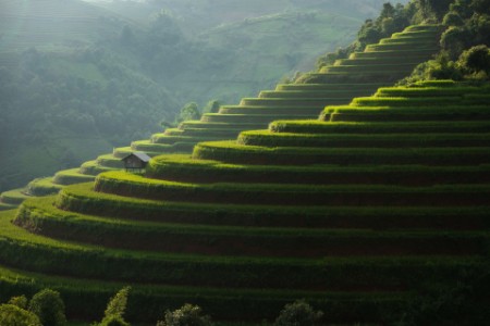 Rice terrace Mountains in Mu can chai