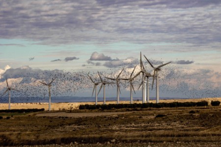 
            Windmills on field against sky
        