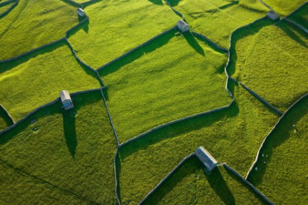 Aerial shot of green pastures divided by drystone walls