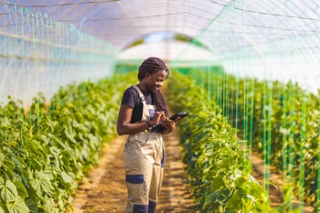 Smiling female farmer using digital tablet at greenhouse