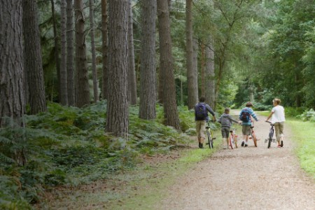 Family walking with bicycles in woods
