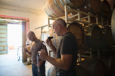 vintners smelling tasting red wine winery barrel room