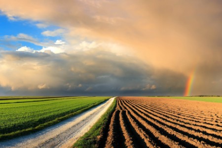 fields and rainbow in the sunset sky