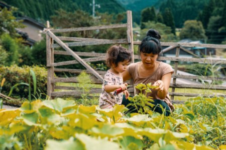 Madre y hija pequeña cosechando verduras