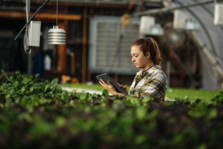 Trabajadora agrícola utilizando una tableta digital en un invernadero
