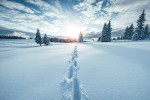 Footsteps in winter landscape 