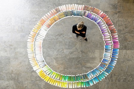 Businesswoman examining paint swatches