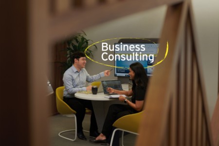 EY Business consulting