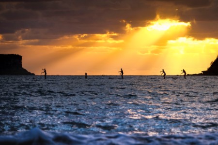 Ocean paddle boarders