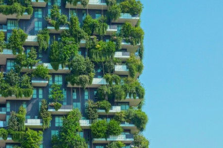 How can green leases help maintain the sustainability of a new building
