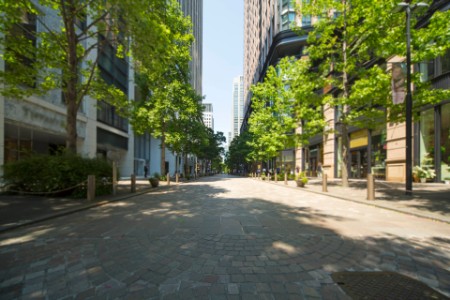 View down a tree-lined city street