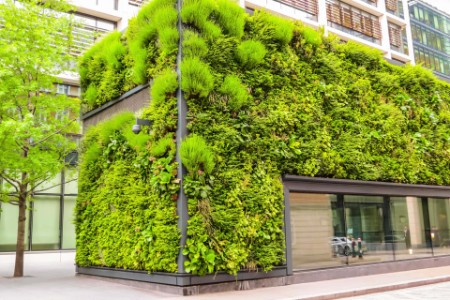Green living facade of the building