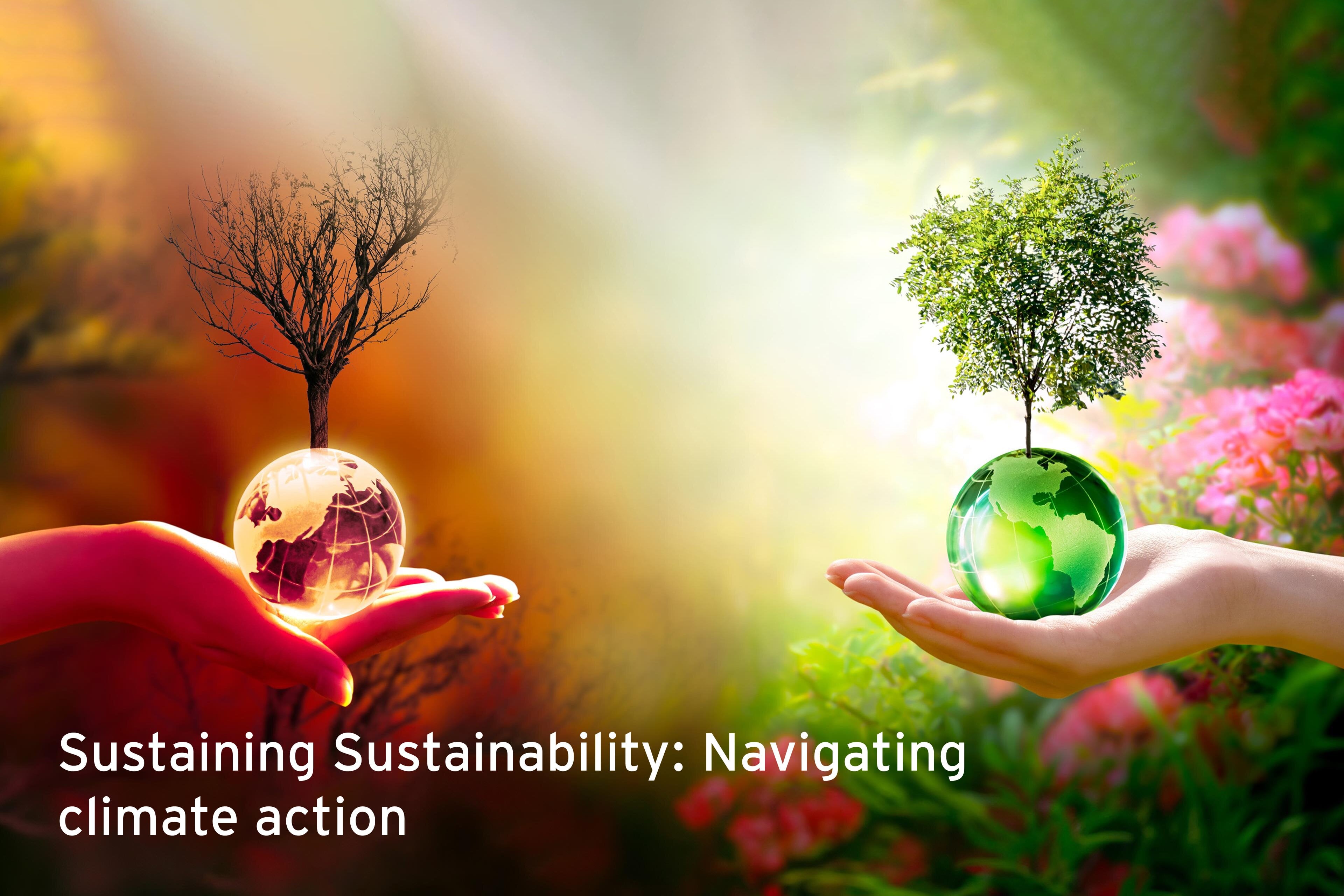 sustaining-sustainability