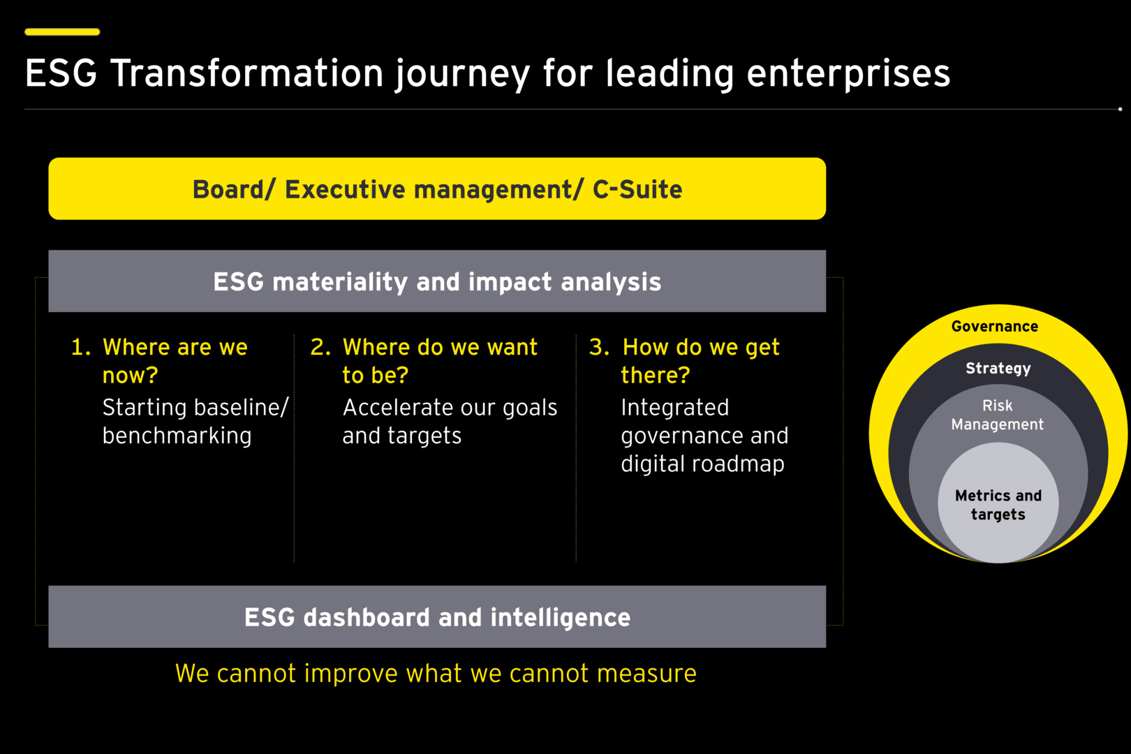 ESG roadmap and journey for leading enterprises
