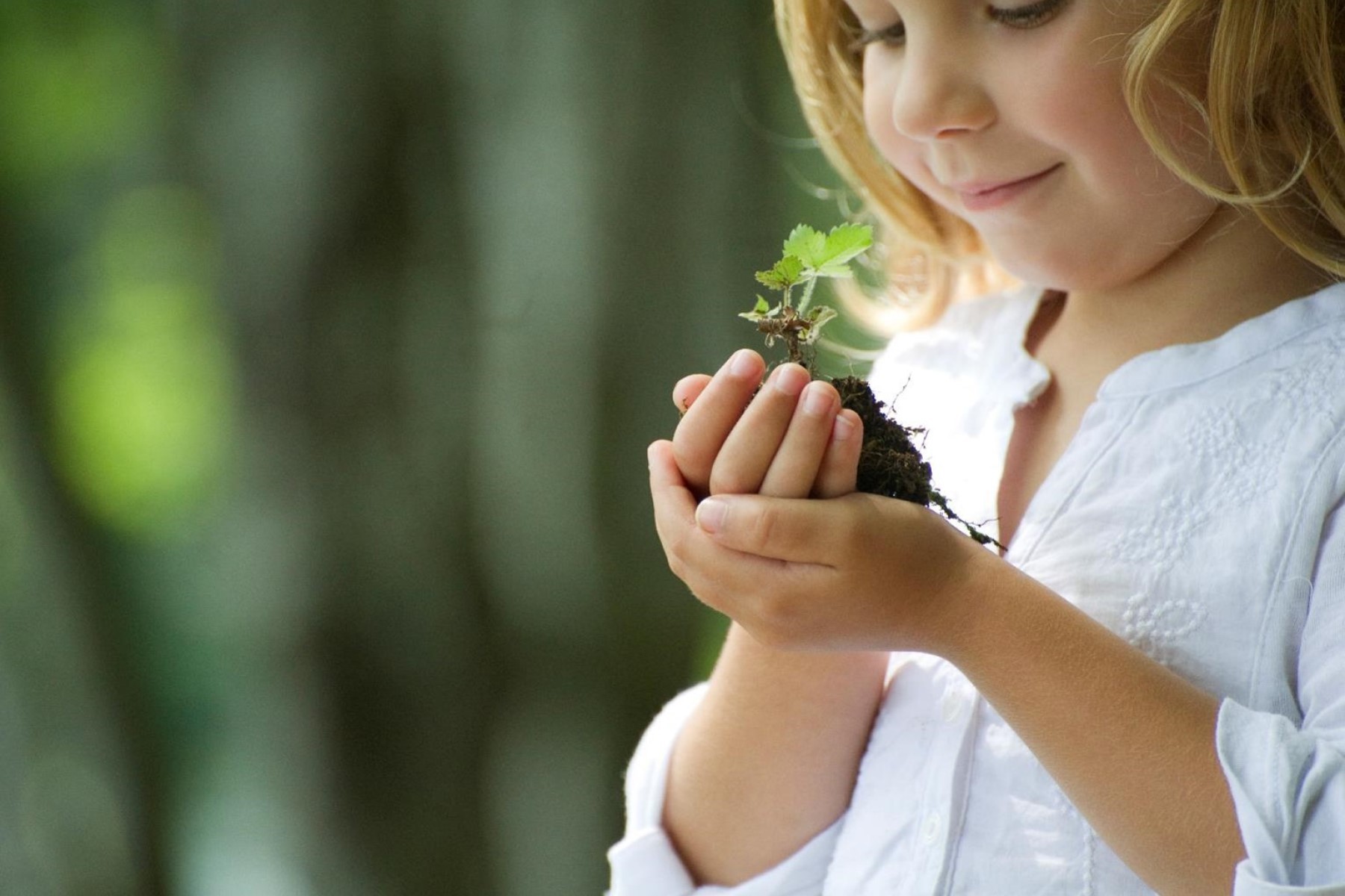 Kuva tytöstä pitämässä kasvin taimea kädessä