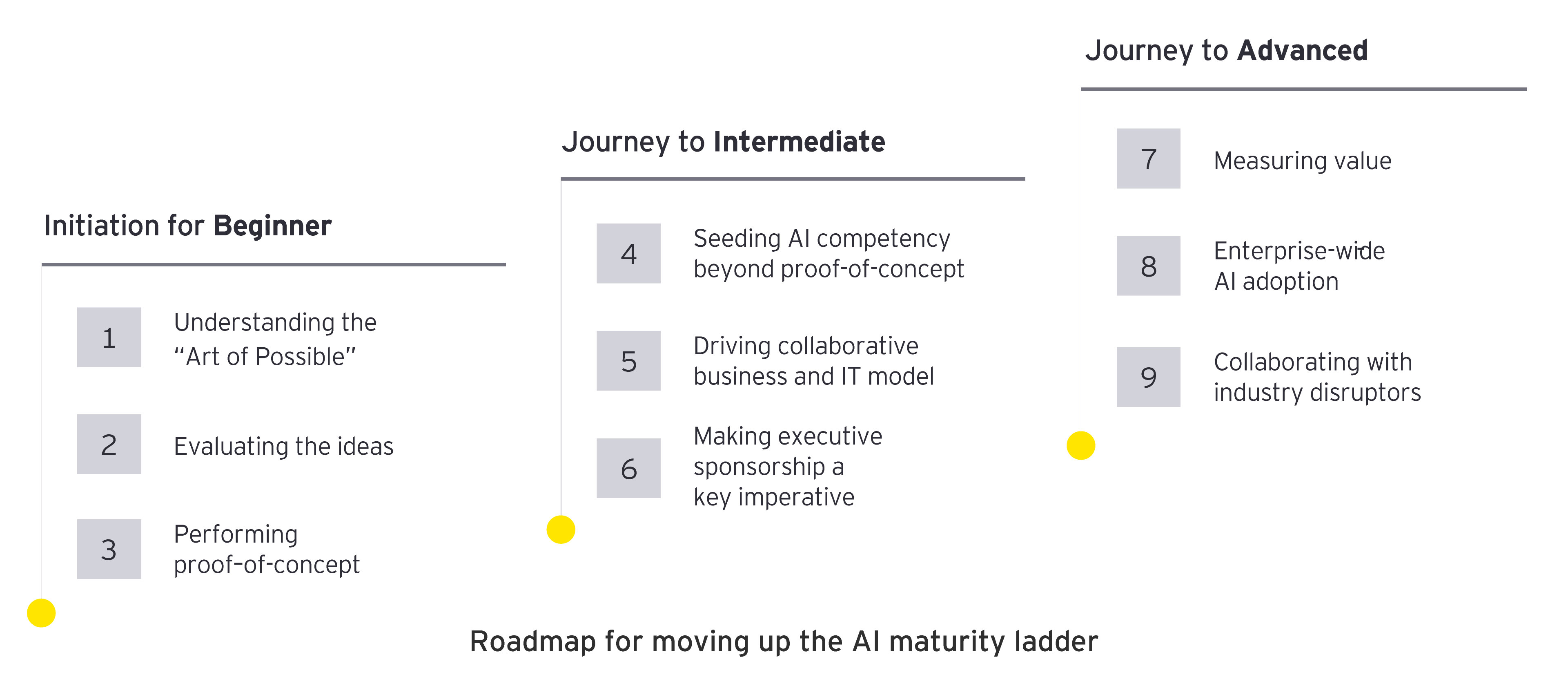 Roadmap for moving up the AI maturity ladder