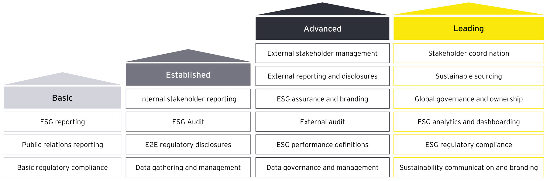 ESG function maturity model