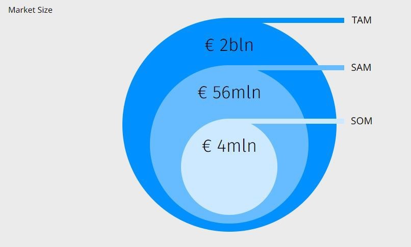 Example of a TAM SAM SOM visualization (source: EY Finance Navigator’s financial planning software for startups)