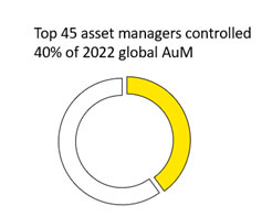 Top 45 asset manager control
