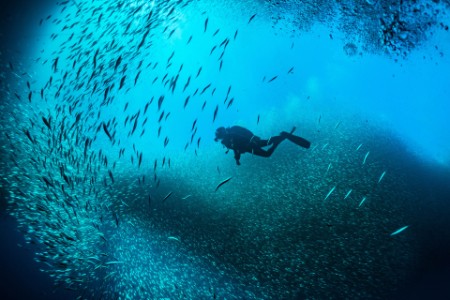 Aqua culture report 2040 fishing man diving