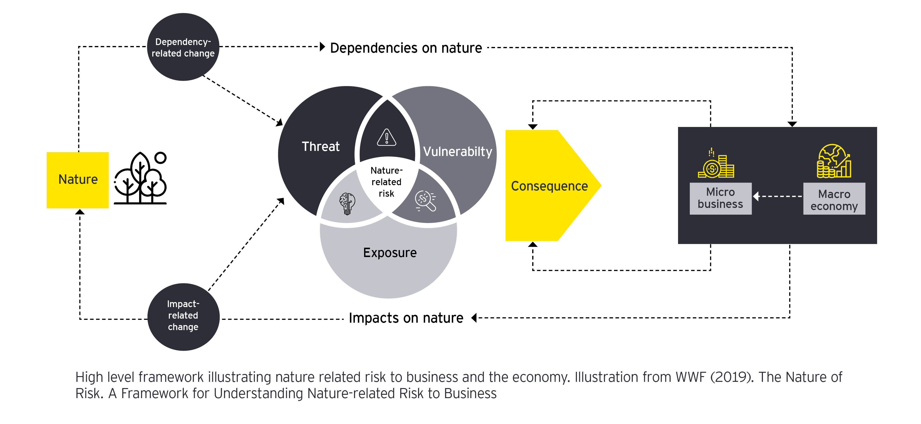 A high-level framework illustrating nature-related risk to business and the economy.
