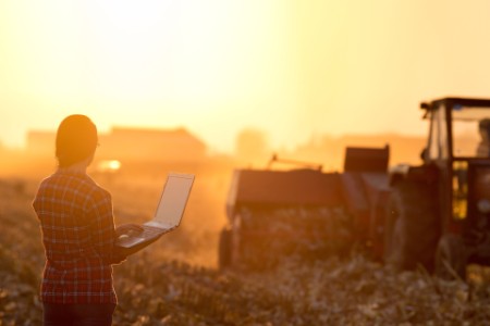 Person watching harvest in sunset