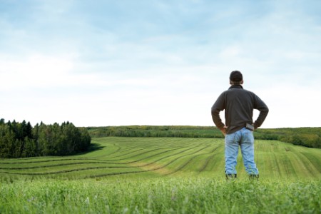 Farmer looking over green field