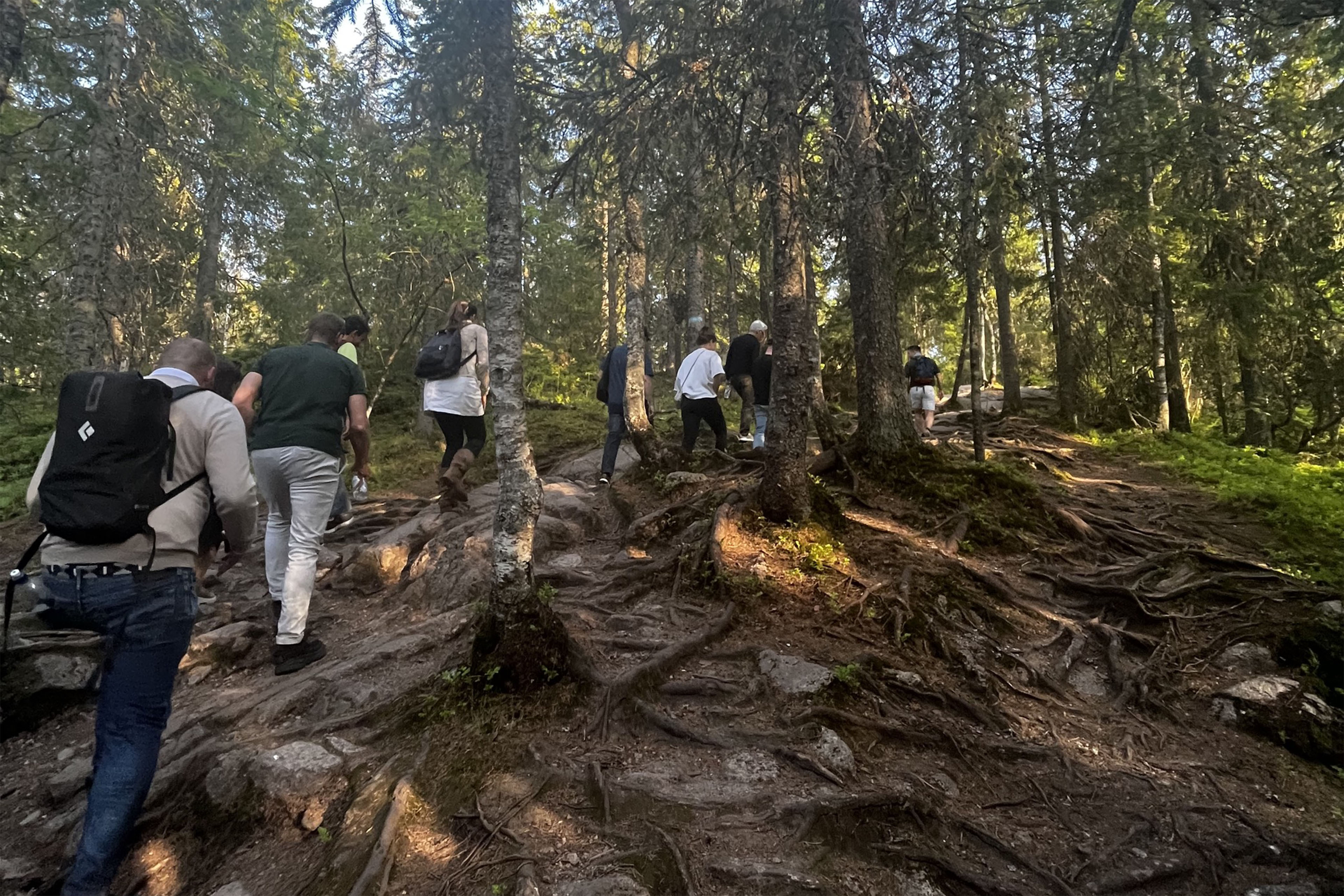 Sustainability leaders trek through the forest as part of the Forest Walkshop