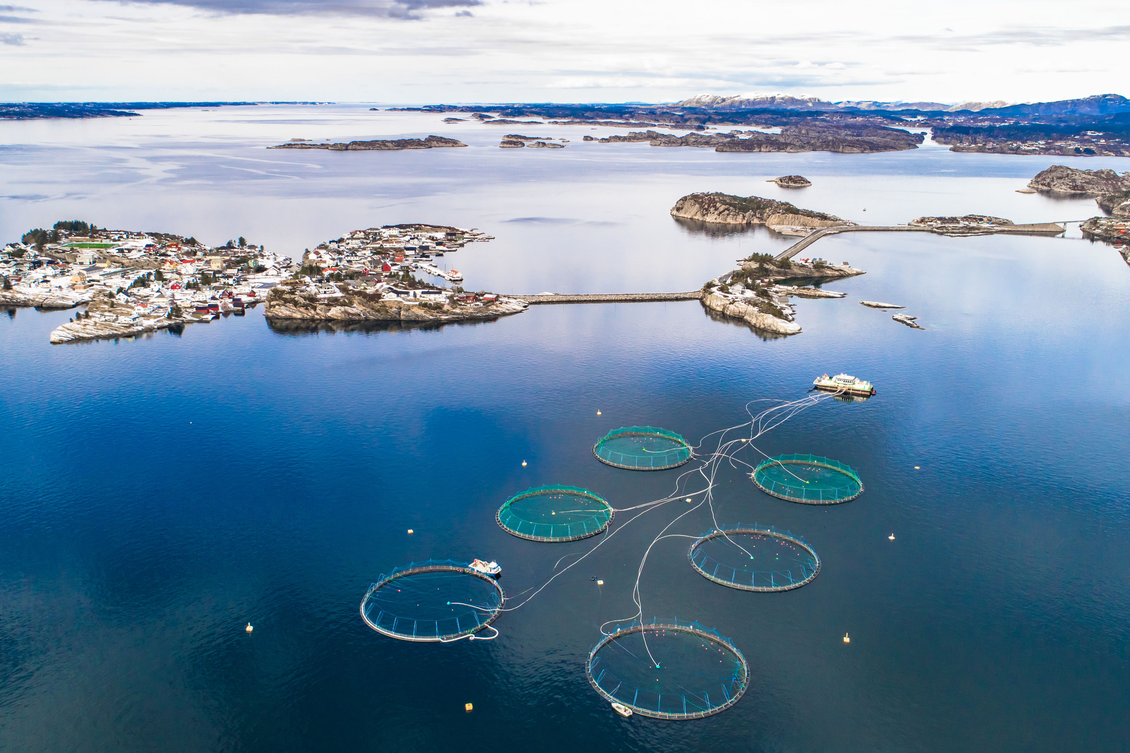 Resource Rent Tax On Aquaculture Ey Norway