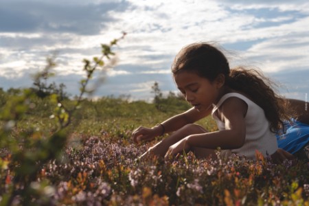 Young girl in field with flowers in summertime