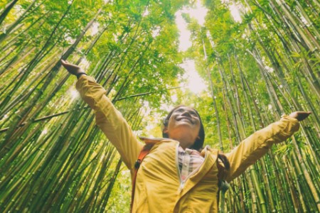 Woman in yellow jacket in forrest