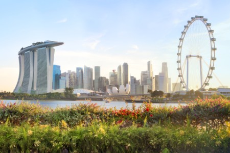 View at Singapore’s Marina Bay with flowers in foreground