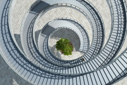 Aerial view of a spiral staircase with a tree in the middle