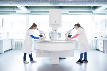 Two scientists standing in laboratory, looking into microscopes