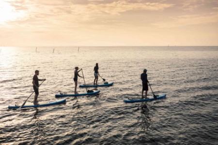 Four people paddle boarding in the sea