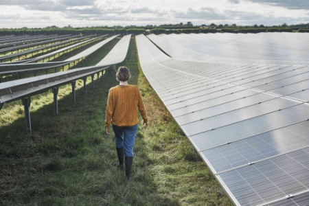 Women walking through a field of solar panels