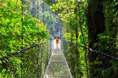 Hiking in green tropical jungle