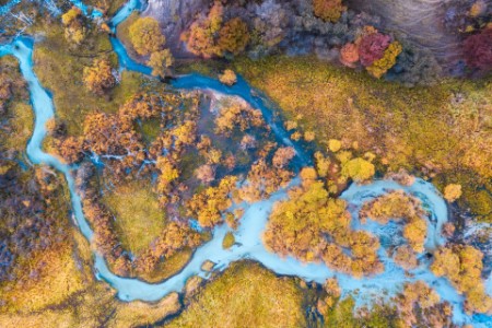 ey-Aerial View of Multicolored autumn