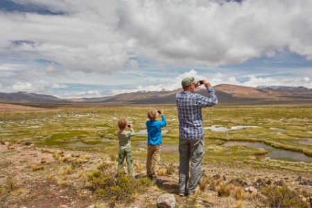father and sons taking pictures of swamp landscape in the Andes