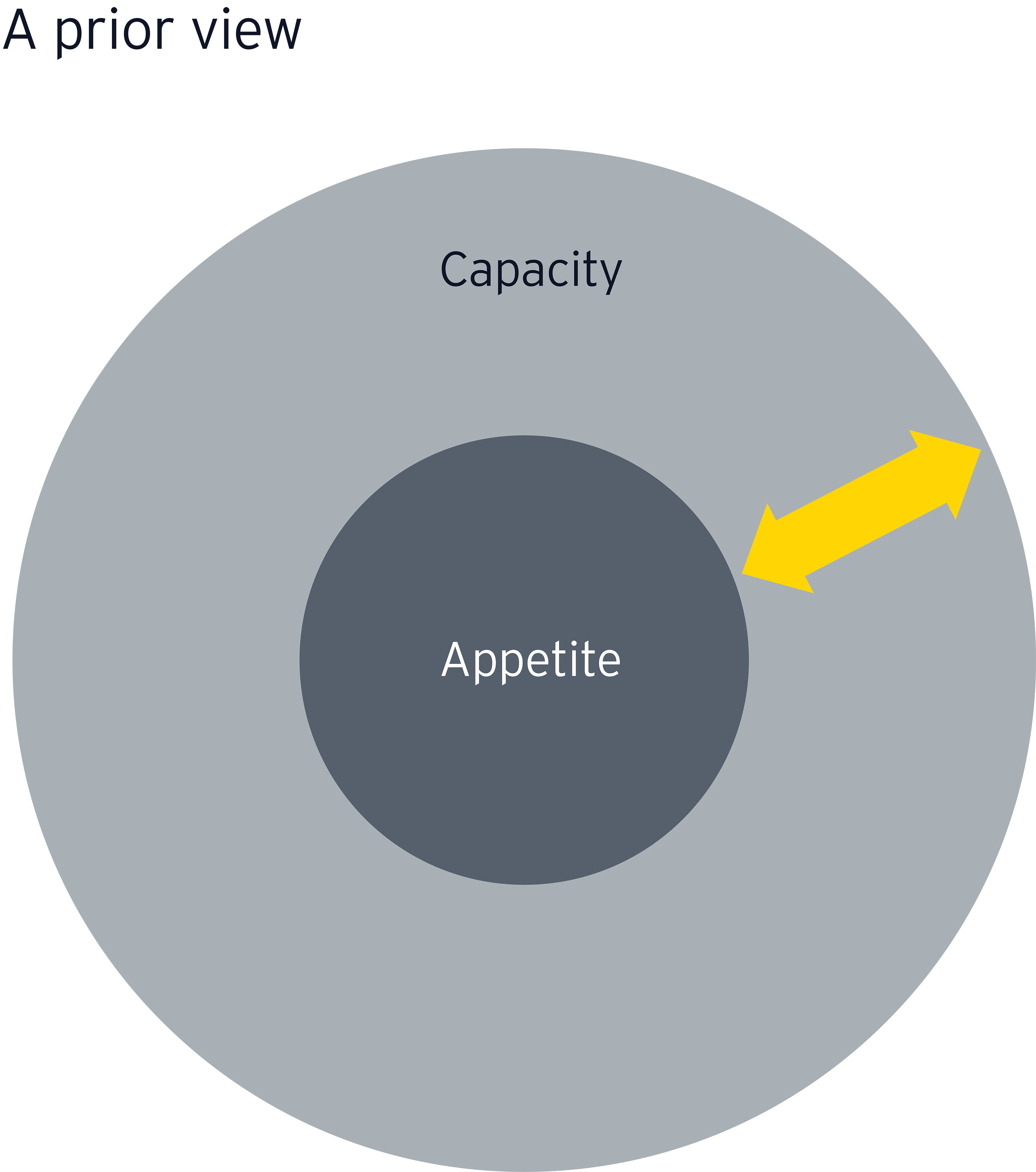 appetite and capacity prior view