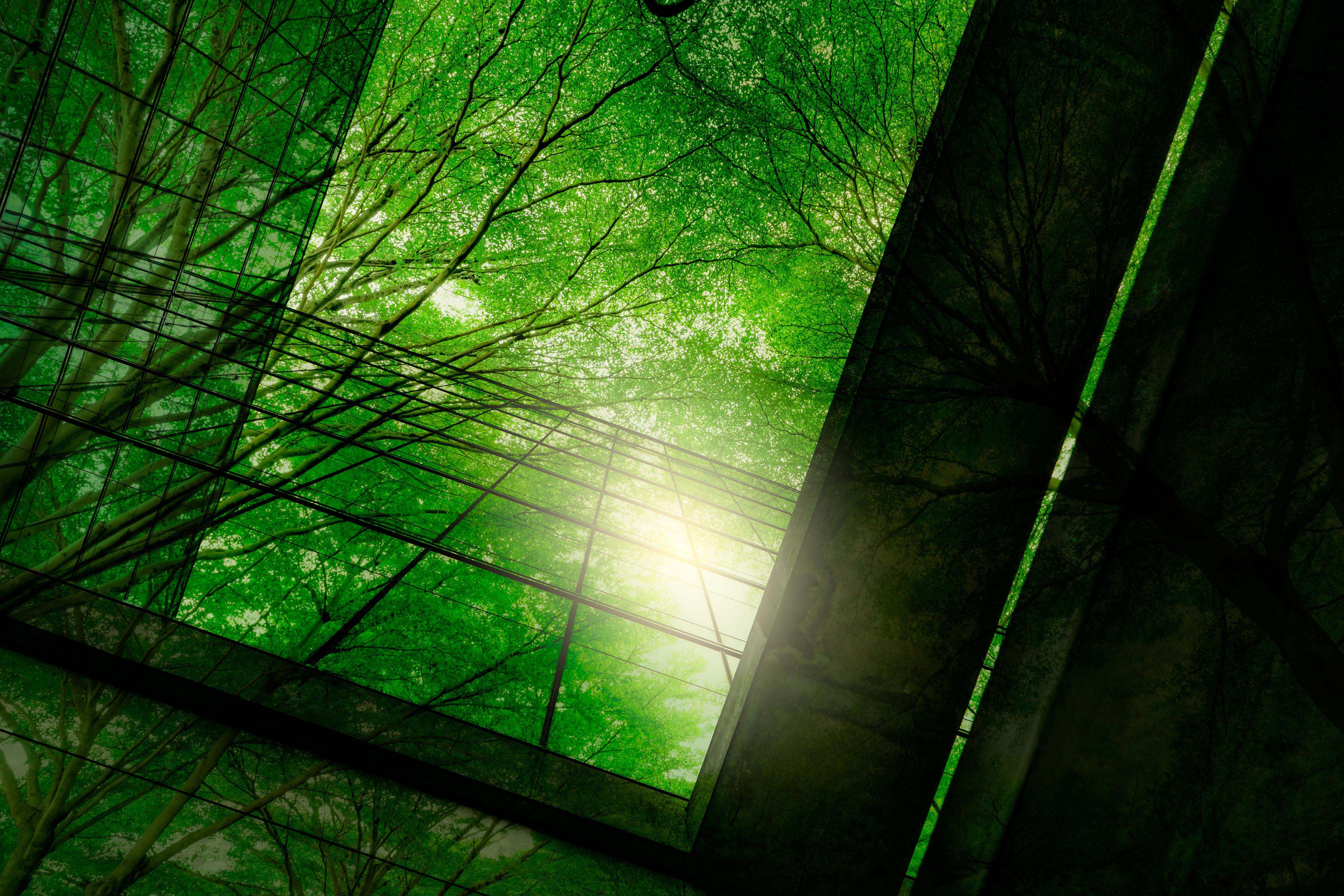 Abstract view of office building against greenery