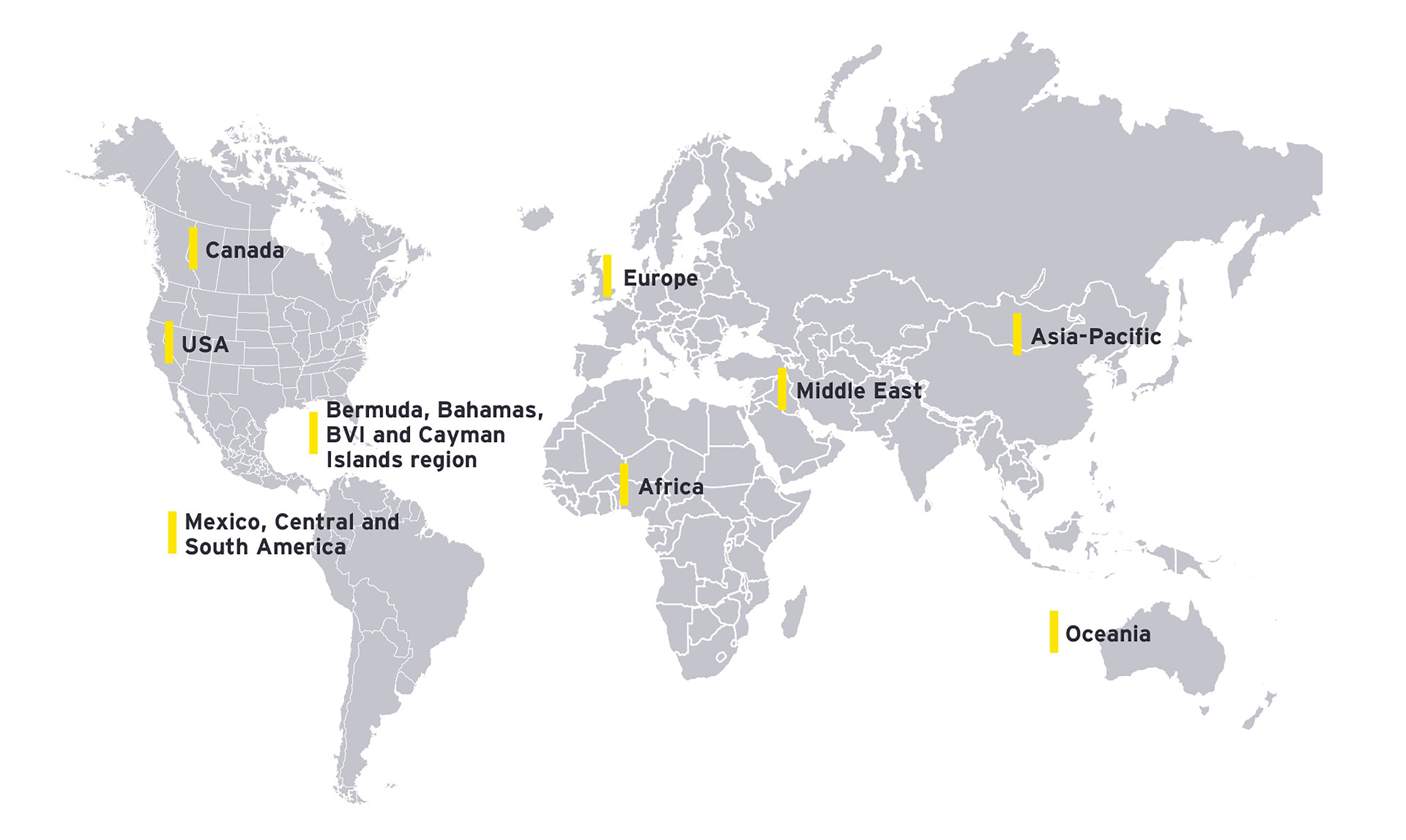 EY - The EY global VME network