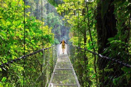 Man on bridge in jungle