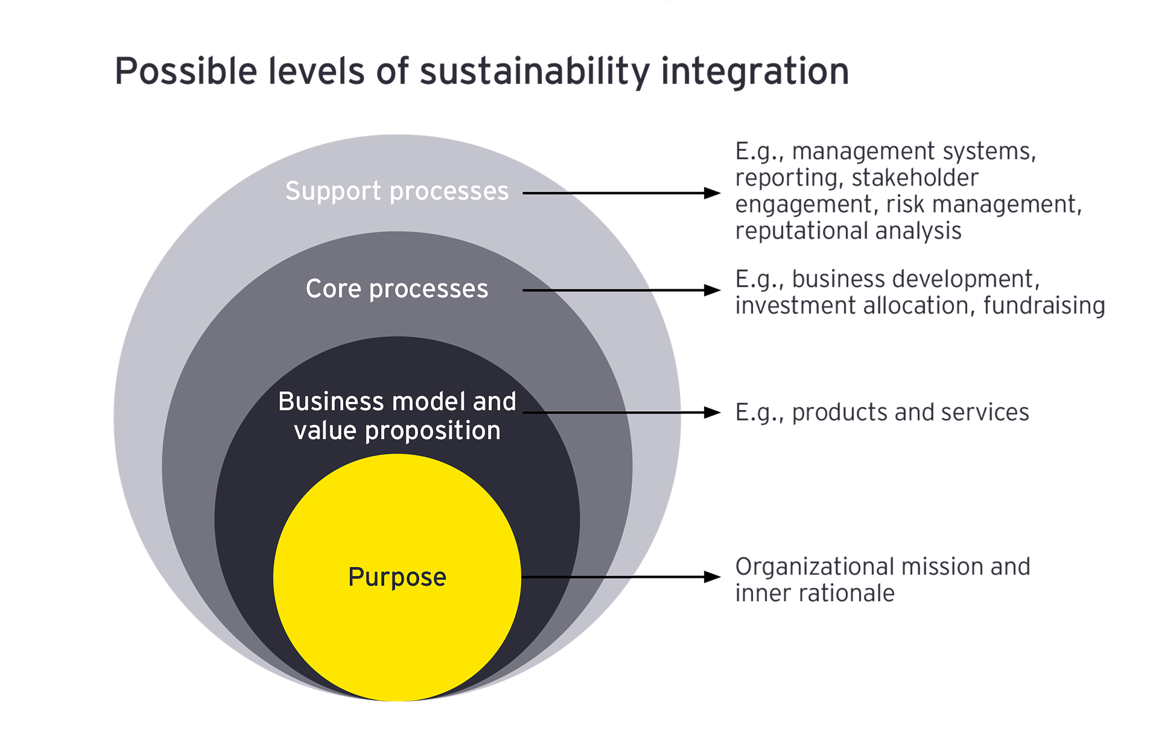 EY - Possible levels of sustainability integration