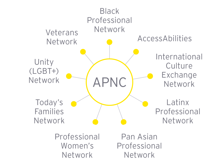 APNC includes Black Professional Network, AccessAbilities, International Culture Exchange Network, Latinx Professional Network, Pan Asian Professional Network, Professional Women's Network, Today's Families Network, Unity (LGBT+) Network and Veterans Network