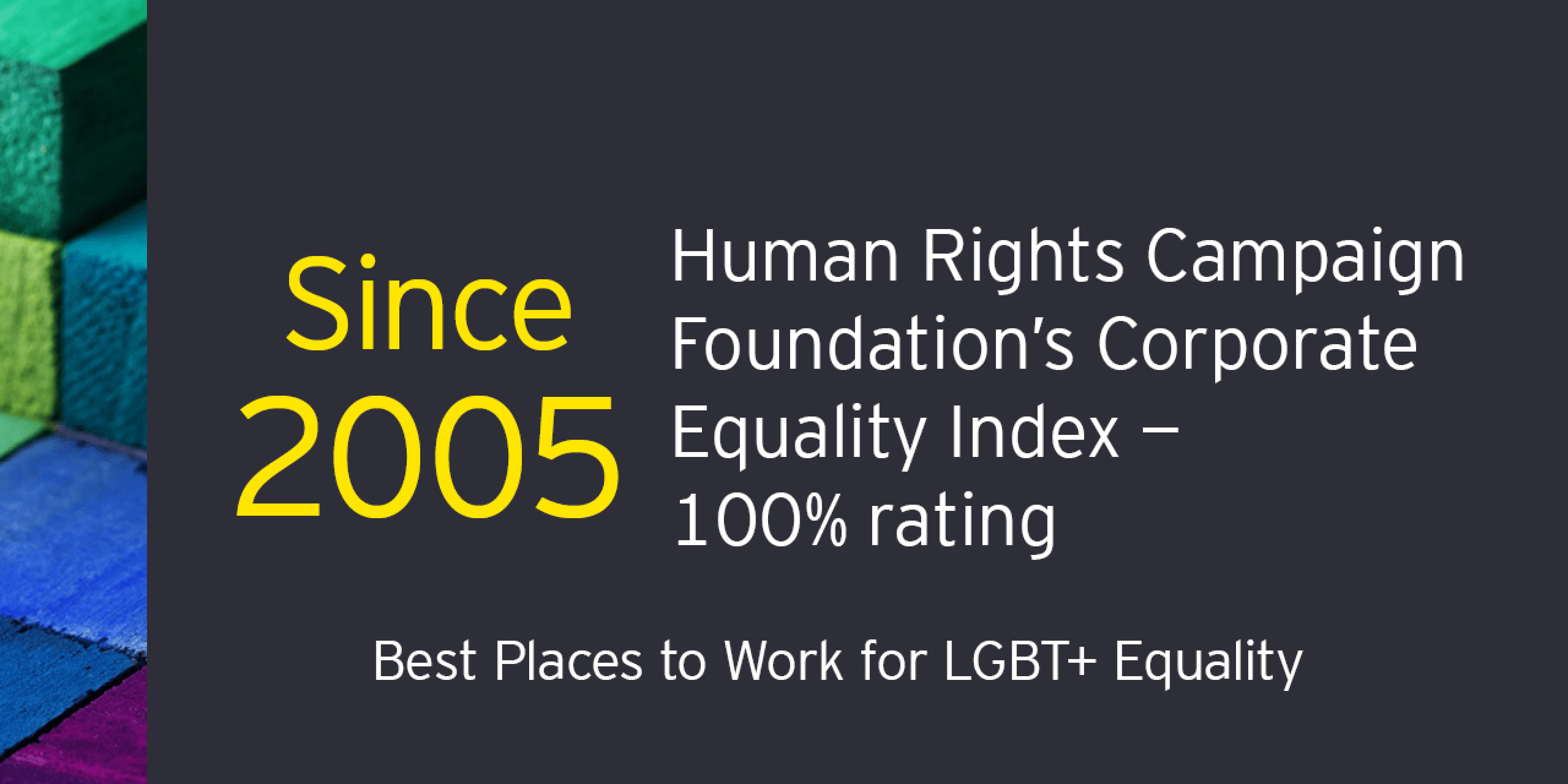 EY - Human Rights Campaign Foundation’s Corporate Equality Index 100% rating since 2005